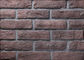 Errichtende dünne Furnier-Blattbacksteinmauer mit Größe 205x55x12mm, Verschleißfestigkeit