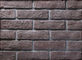 Errichtende dünne Furnier-Blattbacksteinmauer mit Größe 205x55x12mm, Verschleißfestigkeit